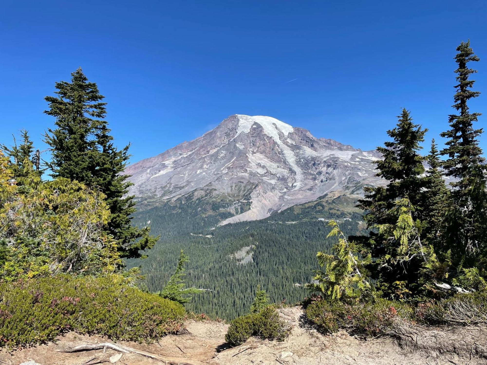 New Modern Cabin! 5Mi To Mt Rainier National Park! Hot Tub & Wifi Ashford Zewnętrze zdjęcie